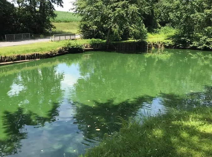 Restaurant Hesch * Gabersdorf